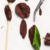 Chocolate-Mint Leaves image