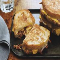 Pulled Pork and Red Onion Melt Recipe - (4.4/5) image