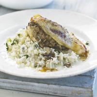 Mushroom-stuffed chicken with lemon thyme risotto_image