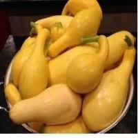 Yellow Squash Italian Casserole_image