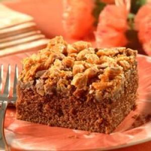 Crumble-Topped Chocolate Peanut Butter Cake_image