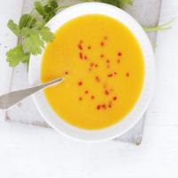 Thai squash soup image