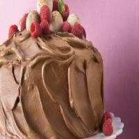 Chocolate Mousse-Raspberry Cake_image