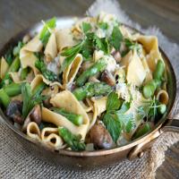 Spring Asparagus and Mushroom Pappardelle_image