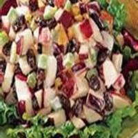 Apple Harvest Crunchy Crisp Salad_image