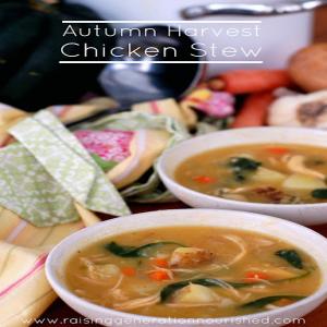 Autumn Harvest Chicken Stew_image