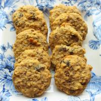 Low-Carb Oatmeal Raisin Cookies_image