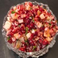 Spicy Cranberry Salsa_image
