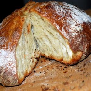 Dutch Oven Bread_image