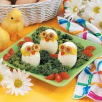 Cute Egg Chicks image