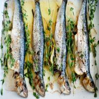 Broiled Sardines With Lemon and Thyme_image