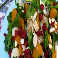 Baby Kale and Baby Spinach Salad Recipe - (5/5)_image