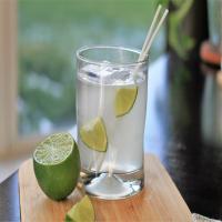 Gin and Tonic_image