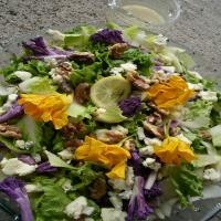 Chicory-Endive Roquefort and Walnut Salad_image