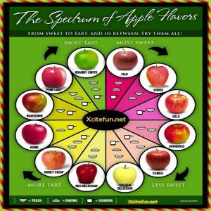 Types of Apples image