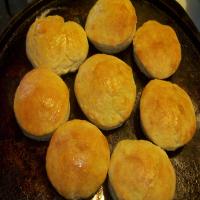 My Biscuits_image