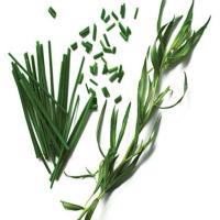 French Herb Seasoning Rub_image