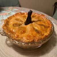Chicken Pot Pie with a Hint of Thai Red Curry image