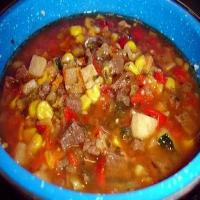 Quick & Easy Camp Stew Recipe - (4/5) image
