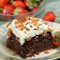 Chocolate Butterfinger Caramel Cake Recipe - (4.4/5)_image