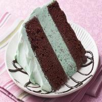 Mint-Chocolate Ice Cream Cake_image