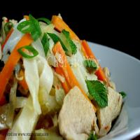 Rice Noodles With Chicken_image