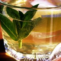 Iced Green Tea With Jasmine_image