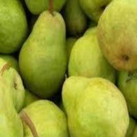 Mama's Pear Preserves_image