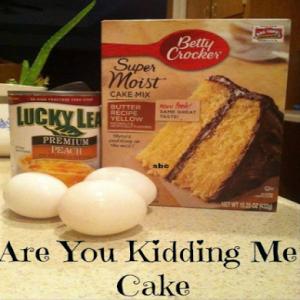 Are You Kidding Me Cake_image
