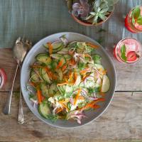 Cucumber Salad with Quick Pickled Onion_image