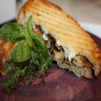 Grilled Wild Mushroom and Brie Cheese Sandwich_image