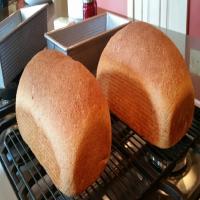 Dave's Killer Whole Wheat Bread_image