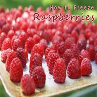 How to Freeze Raspberries image
