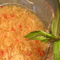 Vietnamese Ginger Fish Sauce - Nuoc Mam Gung_image