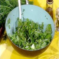 Cucumber Watercress Salad image