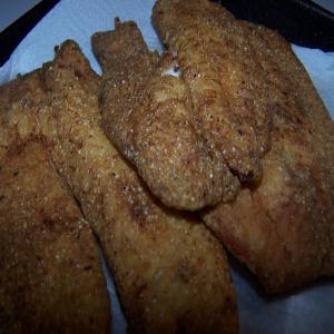 Fried Fish Filets - Catfish, Talapia_image