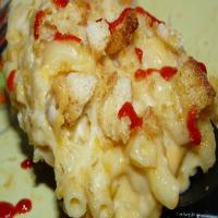 Creamy Corn Macaroni n' Cheese_image