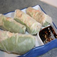 Spring Rolls, Sweet and Spicy_image