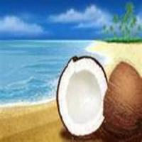 Coconut Rum Sauce_image