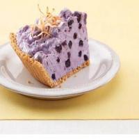 BLUEBERRY CREAM PIE WITH TOASTED COCONUT_image