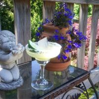 Austin Margarita (aka Mexican Martini) image