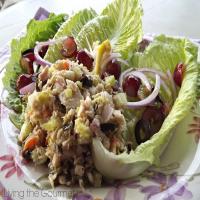Italian Style Tuna Salad_image