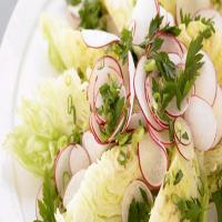 Iceberg lettuce and radish salad_image