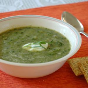 Lettuce and Tarragon Soup image