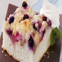 Rhu-Berry Snack Cake image