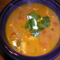 Curried Chicken and Peanut Stew_image