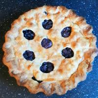 The Best Blueberry Pie_image