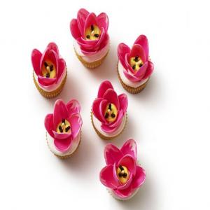 Tulip Cupcakes image