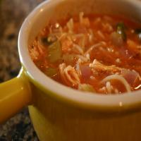 Italian Tomato Chicken Noodle Soup_image