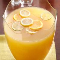 Tangy Citrus Punch image